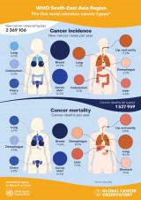 Krebserkrankungen in Asien (Quelle IARC s.o.)
